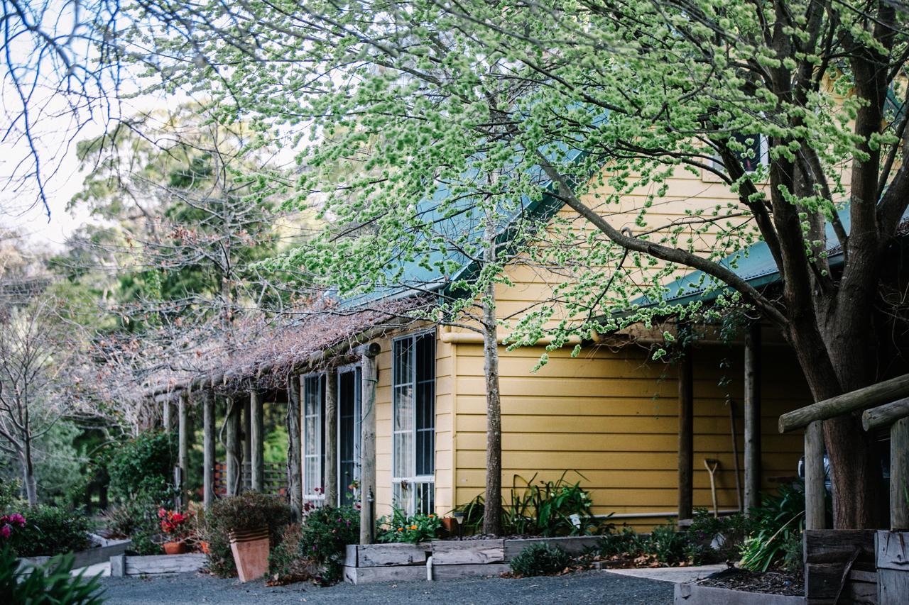 Wurrung B & B - The Cottage Woodend Eksteriør billede